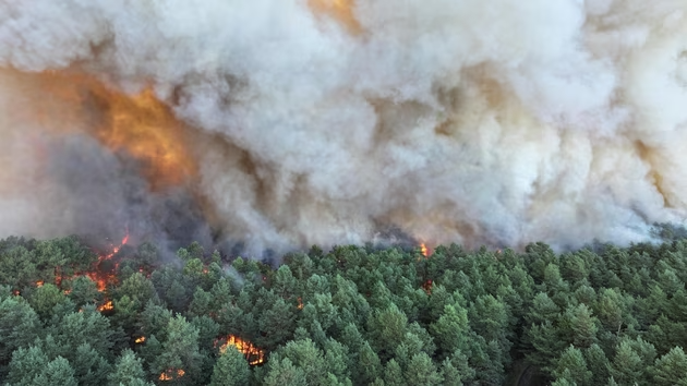 The wildfire in France’s Fontainebleau forest, about 40 miles south-east of Paris. Photograph: Franck Desprez/SDIS 77/AFP/Getty Images