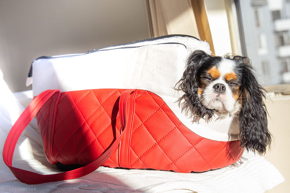 Thumbnail: Red Vegan Leather Dog Carrier