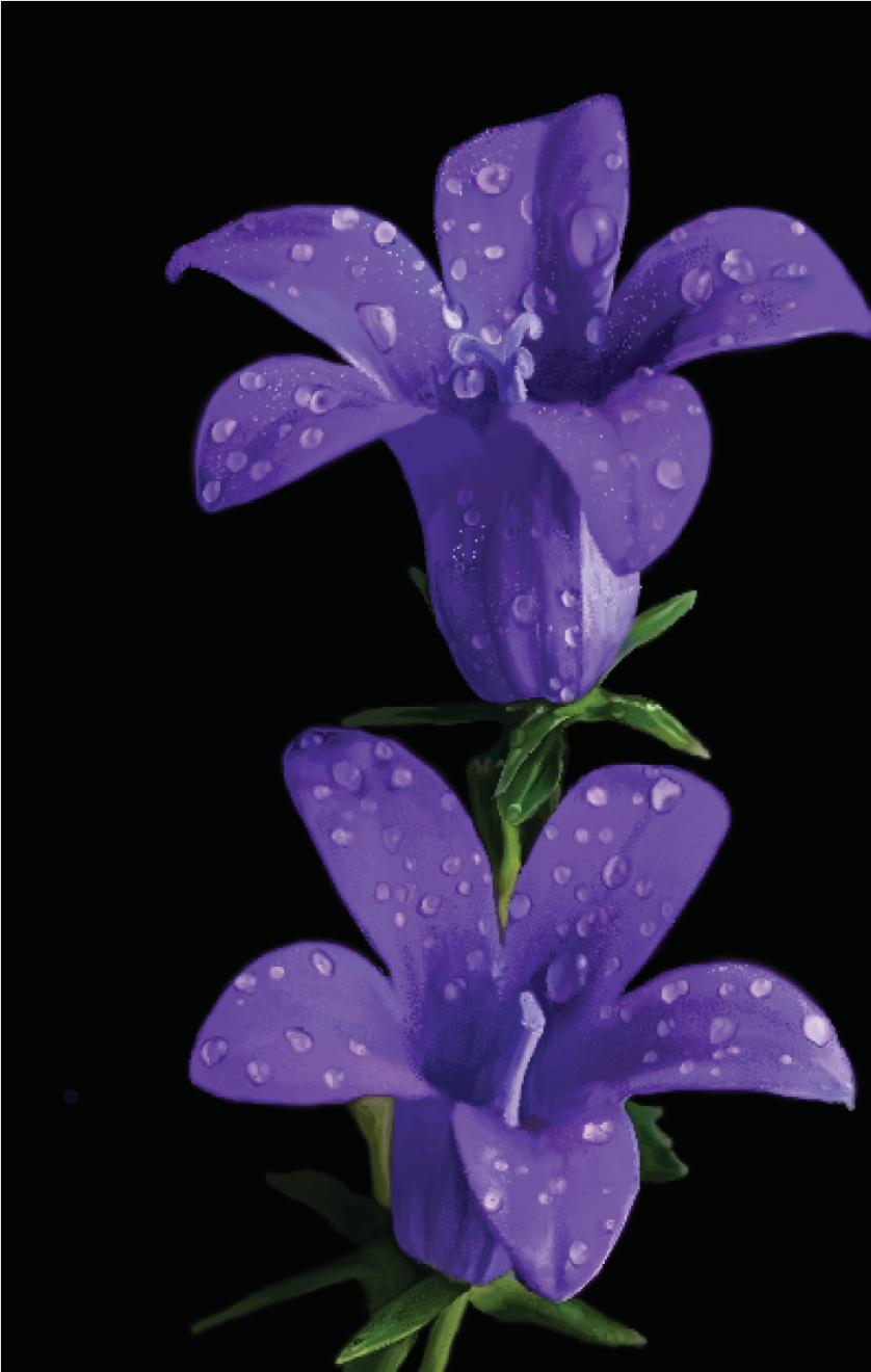 Flower.jpeg