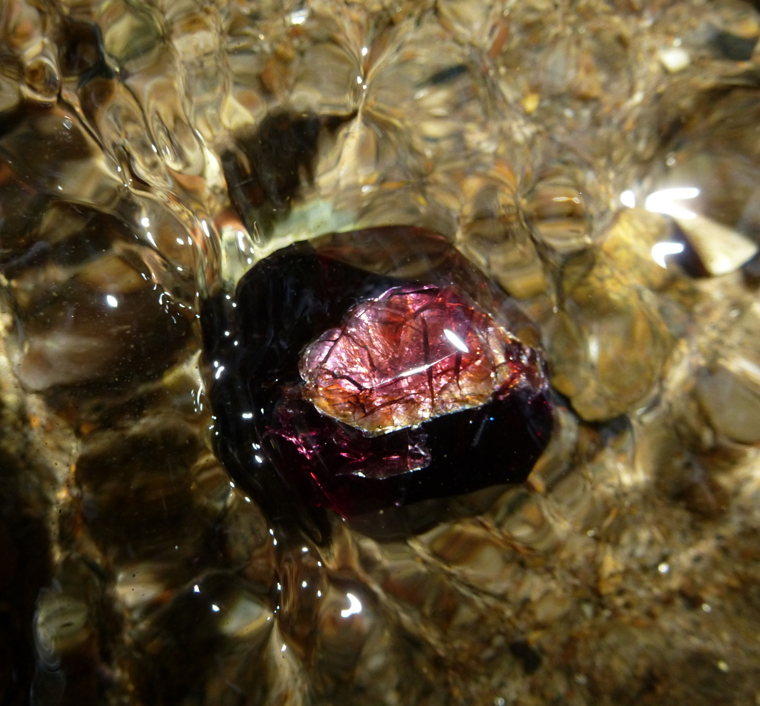 Élixir Joie sans objet