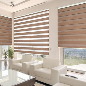 fantasy zebra blinds light brown 01.jpg