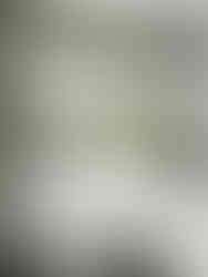 Kitchen Herb Garden 03