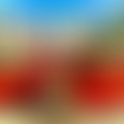 キッチン・モグモ