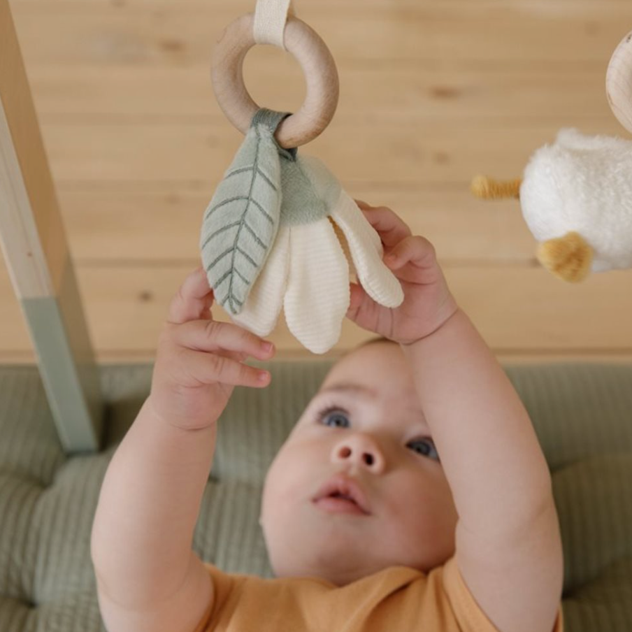 Thumbnail: (DP) Little Dutch - Babygym Little Goose