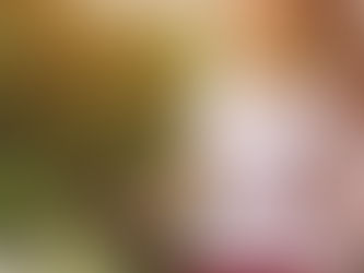 Como é feita a cobrança da pensão alimentícia retroativa?