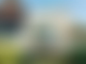 Enrique Peña Nieto será vecino de Cristiano Ronaldo en España