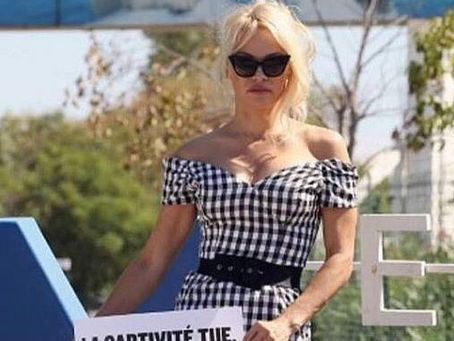 Pamela Anderson dice que extraña mucho a sus hijos