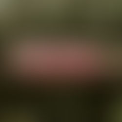 The Ultimate Guide to Risk Management: Mitigating Business Risks Effectively