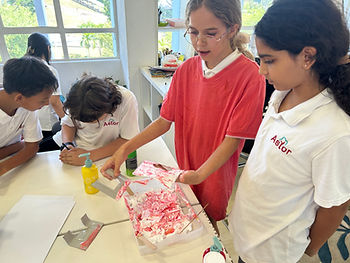 School Curriculum