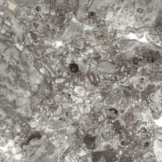 Grigio Billiemi