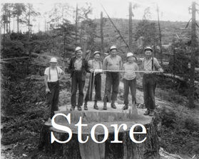 Six loggers on a stump to show the size of the tree - 1944.jpeg