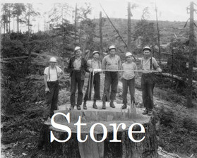 Six loggers on a stump to show the size of the tree - 1944.jpeg