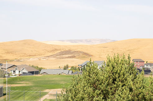 The Palouse, Photo by: Neyleen Elieisar