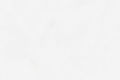 4049458_edited.jpg
