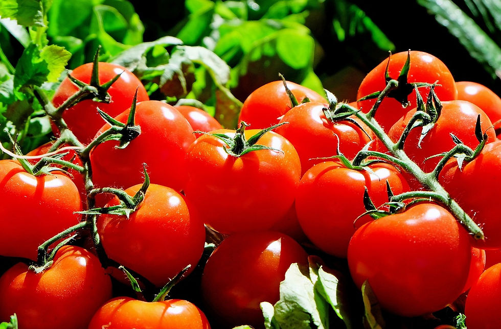@pixabay: Tomaten