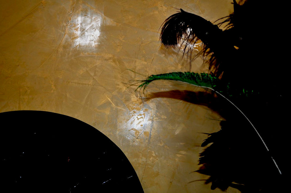 _DSC0019