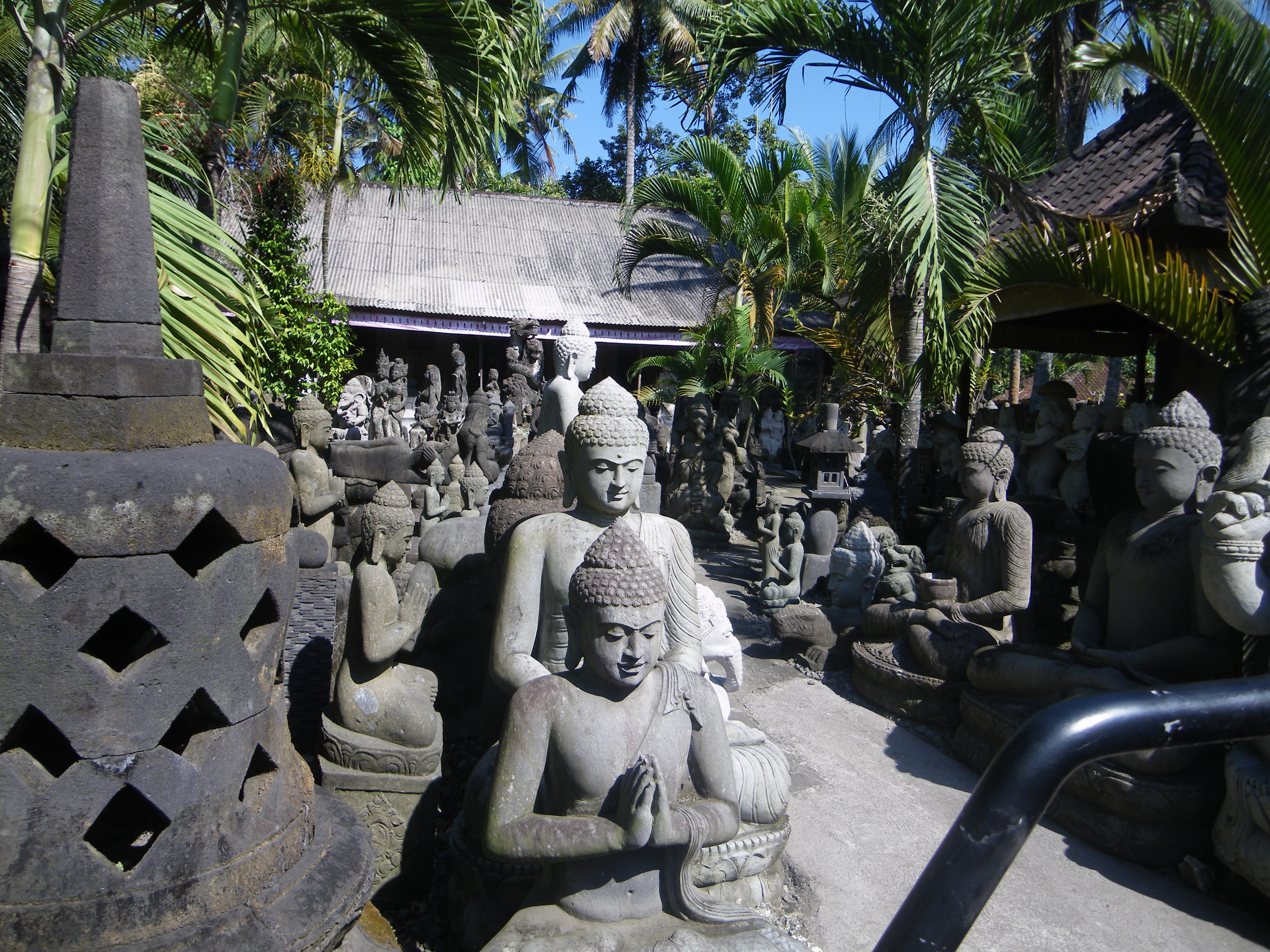 IMGP3580