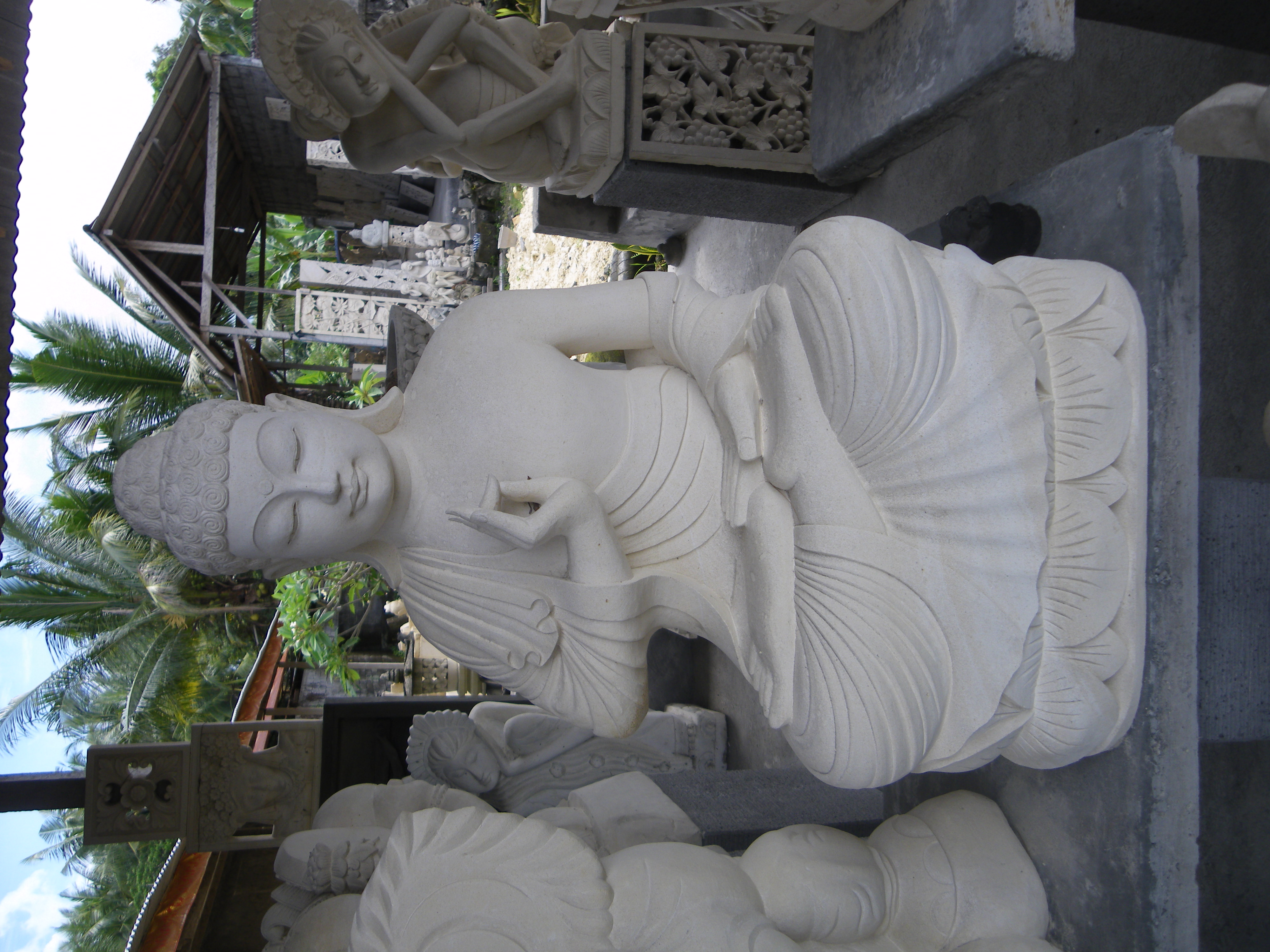 IMGP3520