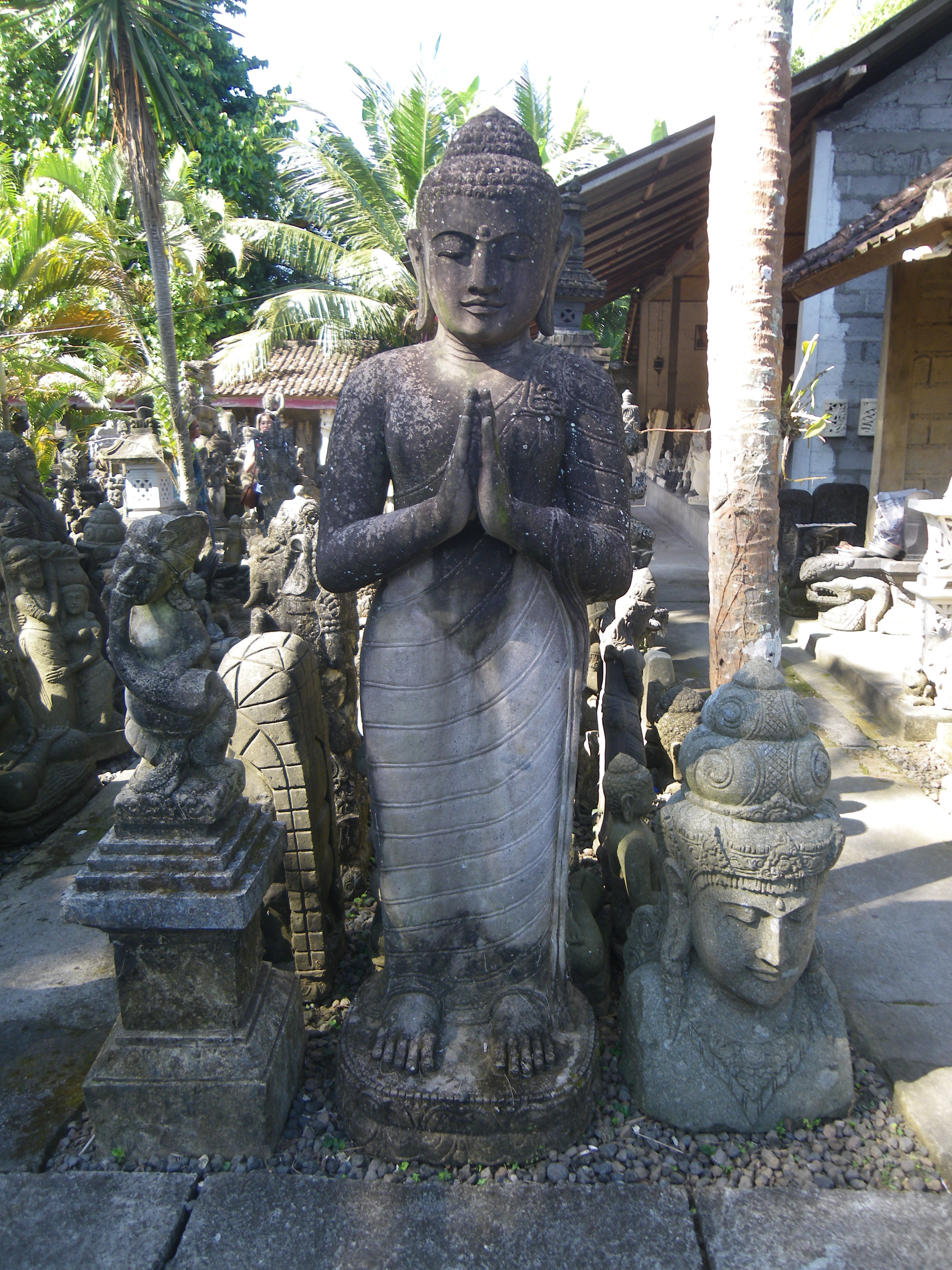 IMGP3556