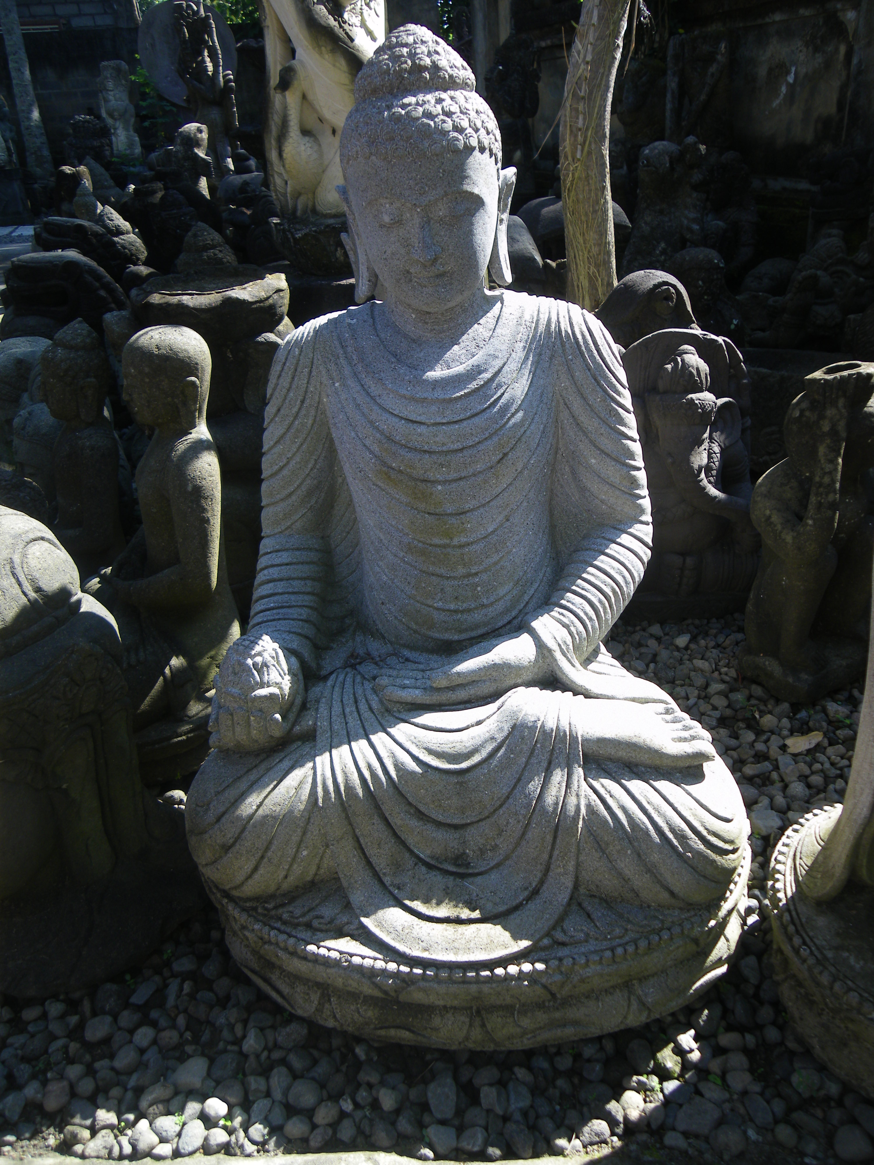 IMGP3554