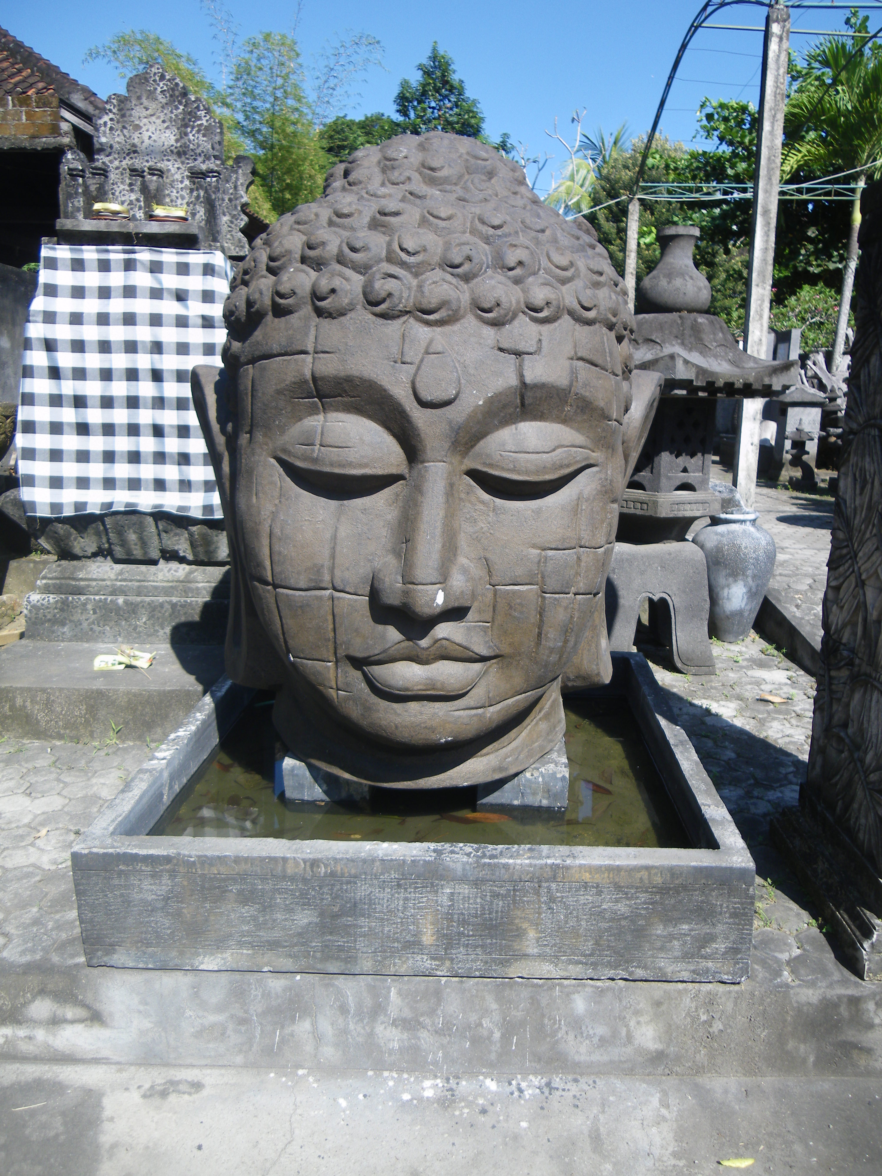 IMGP3565