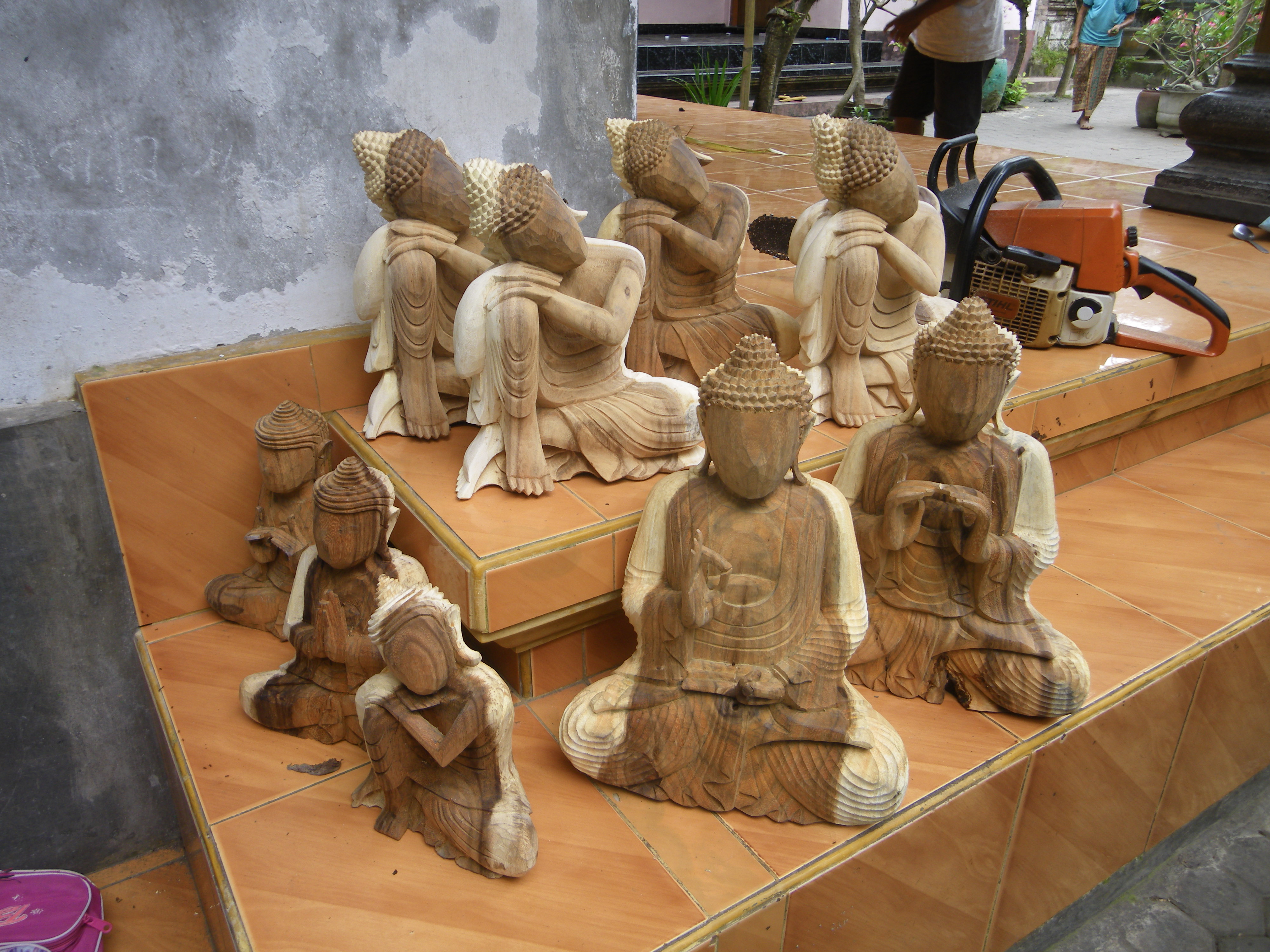 IMGP3745