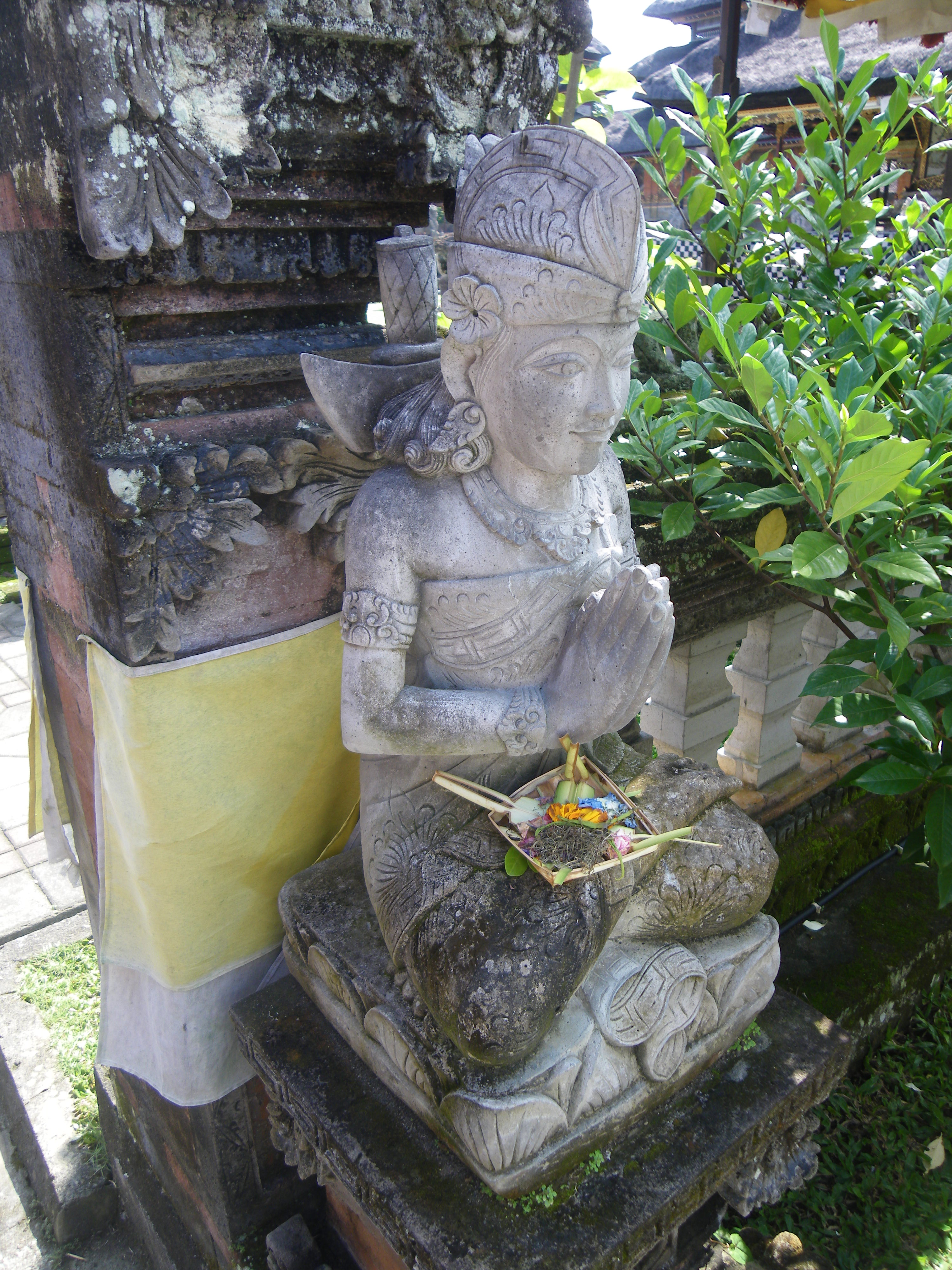 IMGP3590