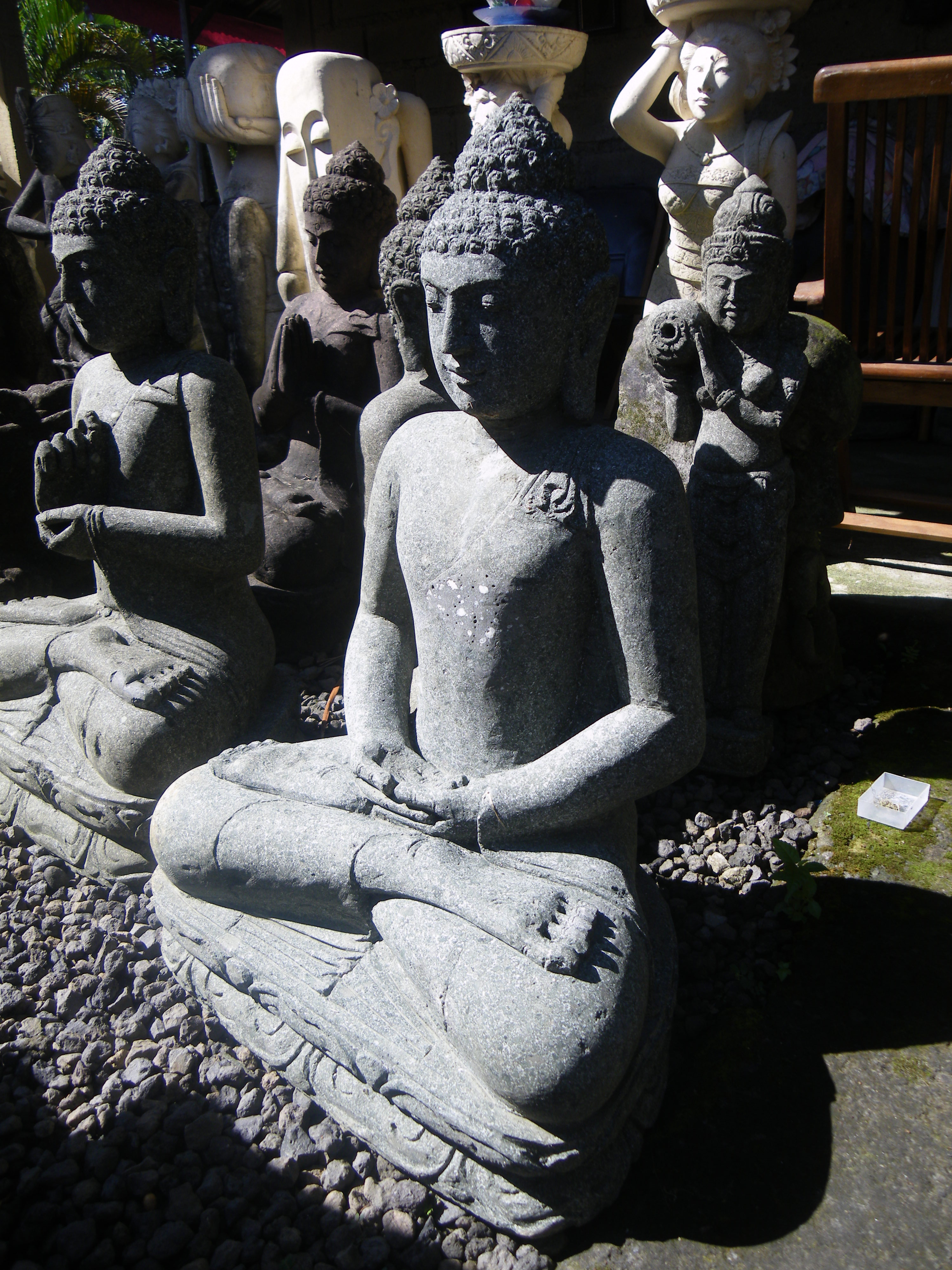 IMGP3560