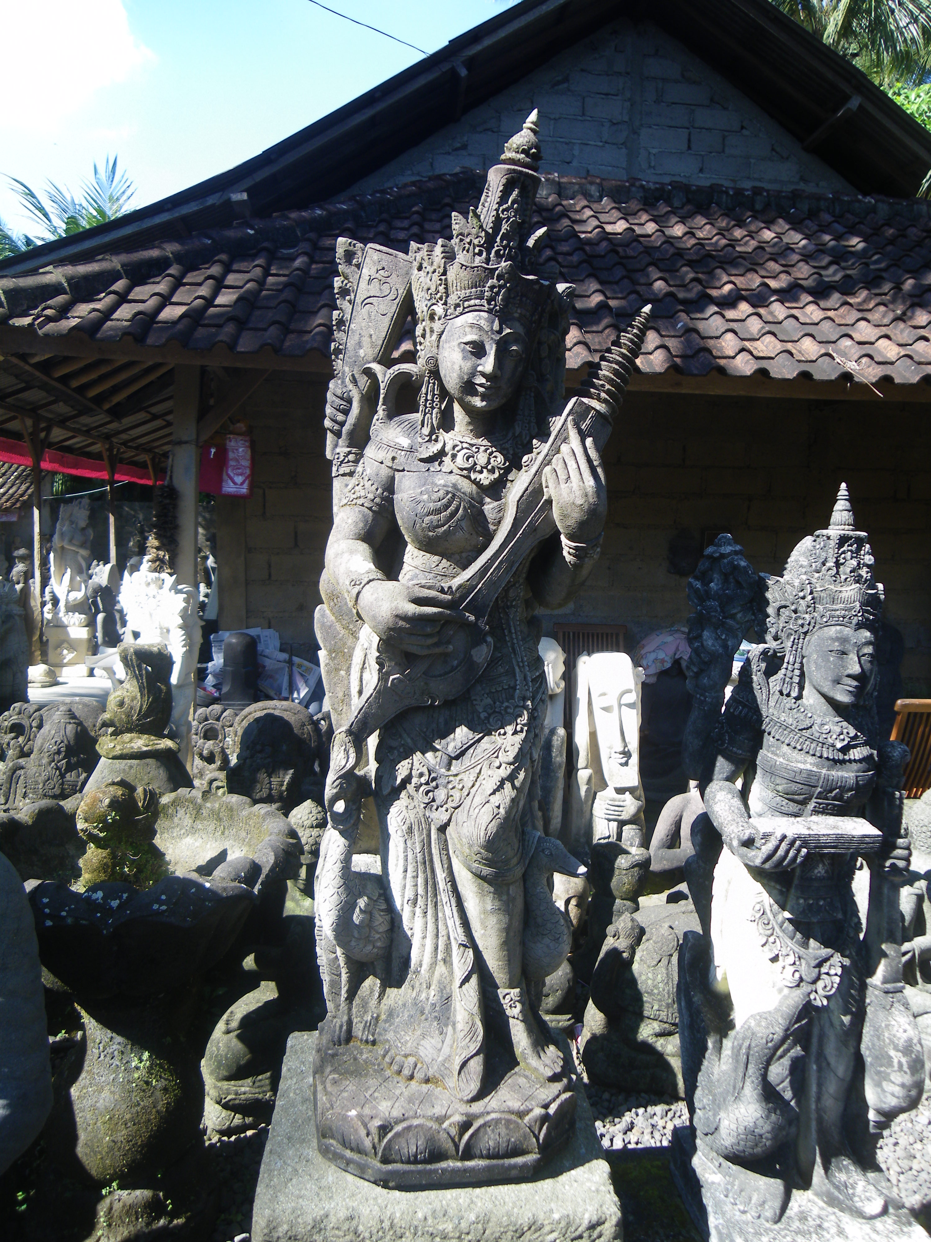 IMGP3558