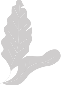 Hojas-sup-derech_edited_edited_edited.pn