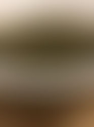 Tasty Brown Molochia