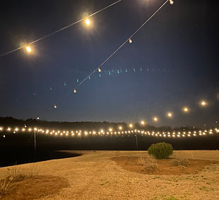 Lights at FA 2.jpeg