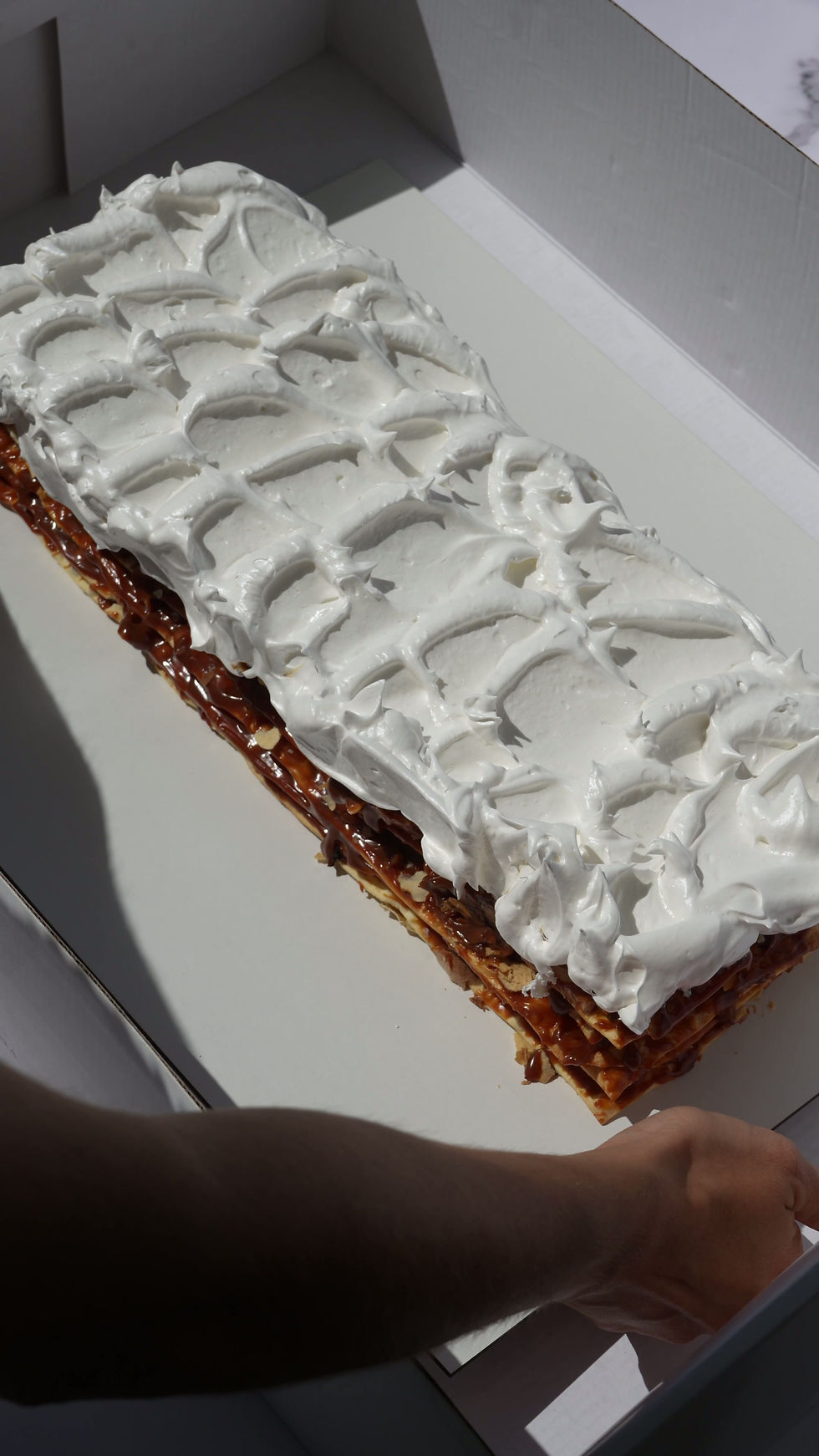 Miniatura: ROGEL largo