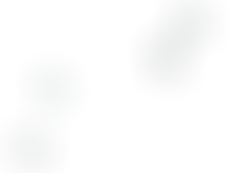 Magnetoreception: nature's invisible map