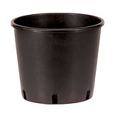Nursery-pot.jpg
