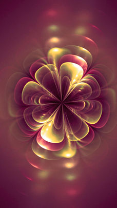 Flower with Red Glowing Petals Background / Wallpaper 1080&1920 image free to download.