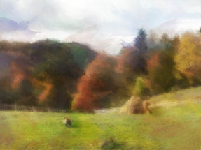 meadow, mountain, forest, watercolor, digital painting, haystack, Carpathian, autumn, landscape, colorful fall trees, autumn rusty watercolor, fall in mountain, wild life