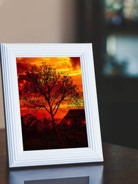 Wall art, nature enhanced photo. Sunset dark tree silhouette on red sky (ID-161)