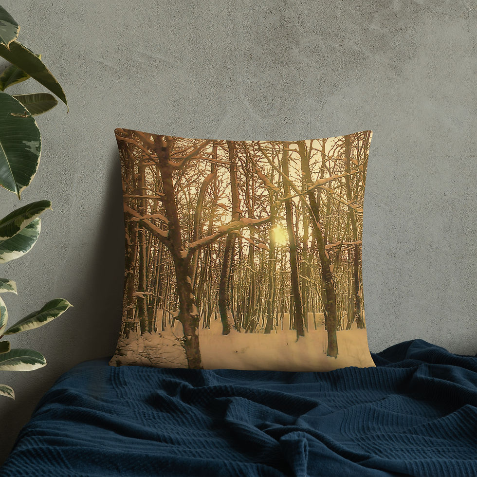 Thumbnail: Basic Pillow | Photo Edit, Winter White Forest & Sun (ID-074)