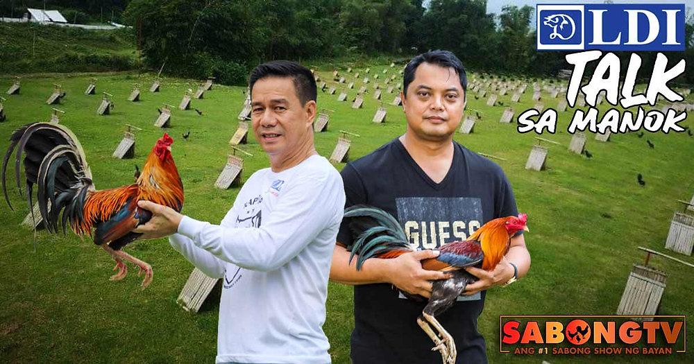 Rapapap Raymond Burgos at Rapapap Yulo sa Paglulugon ng Manok | SabongTV