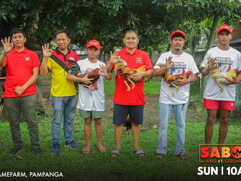 Sistema ng Paghanda ng Manok ng Flash Kenji Gamefarm with Thunderbird (November 6, 2022)