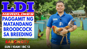 LDI Headlines on Paggamit ng Matandang Broodcock sa Breeding (January 8, 2023)
