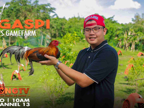 Usapang Bloodlines with Vlad Legaspi of A Flores Gamefarm (December 4, 2022)