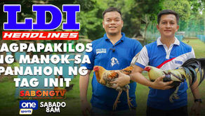 Pagpakilos ng Manok sa Panahon ng Tag-Init sa LDI Headlines (April 22, 2023)