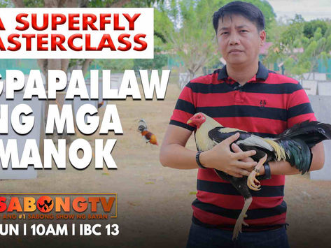 Tips ni Atty. Ryan sa Pagpailaw ng mga Manok (November 27, 2022)