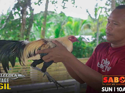 The Battlecock Advantage ng Jun Gil Conditioning Camp (November 20, 2022)