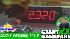 Sabong Cockpit Weighing Scale sa Gamit Gamefarm (February 28, 2021)