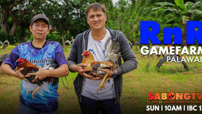 RnR Gamefarm ng Palawan sa Alagang LDI (January 22, 2023)