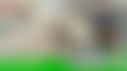 Kakaibang Brooder Setup sa Gamit Gamefarm (April 24, 2022)