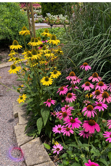No caminho das pedras por Mônica Beatriz Kolicheski, ID: ROC-2025-FMBK-029|26 - Fotografia digital, 3543x5315 px (2025)